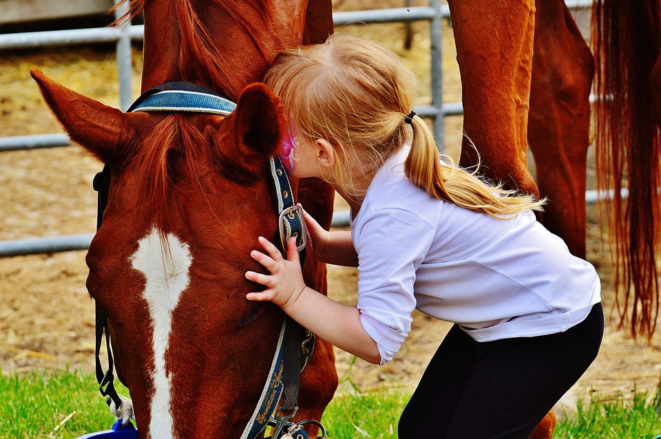 interazione bambini cavallo